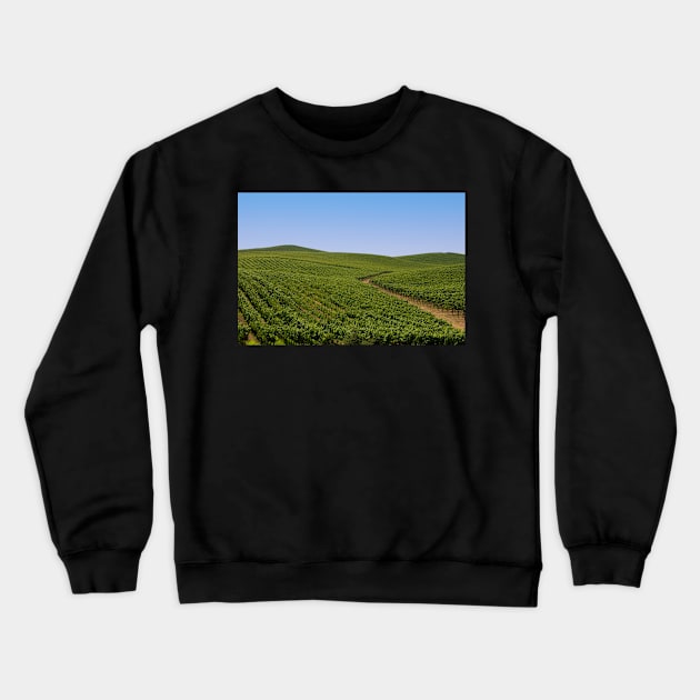 Vineyards Crewneck Sweatshirt by randymir